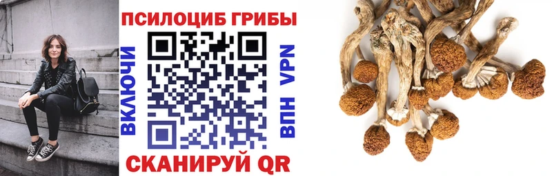 mega tor  Улан-Удэ  Псилоцибиновые грибы мицелий 