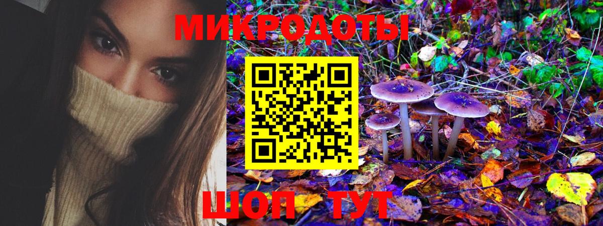 Псилоцибиновые грибы Cubensis Улан-Удэ